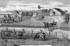 Res_MillerOP_JacksonTwp