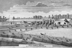 Res_MillerThomasL_MadisonTwp