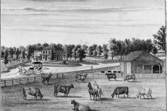 Res_SnyderJohn_WashingtonTwp