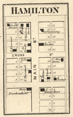 Hamilton 1865