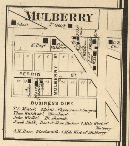 Mulberry 1865