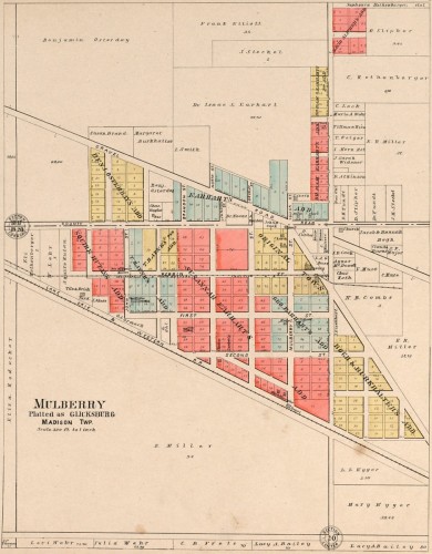 Mulberry 1903