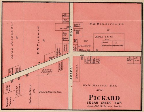 Pickard 1903